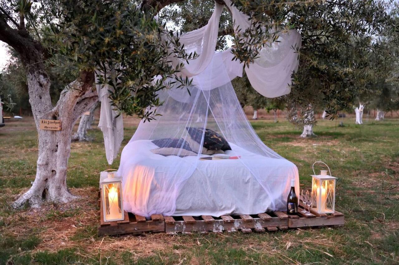 Glamping At A Lovely Tent In Skiaxtro- Marathopoli Villa Eksteriør billede